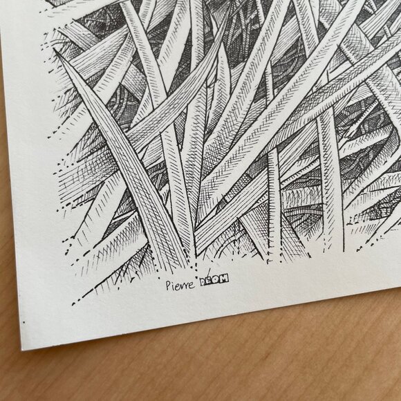 Vintage Illustrations of Small Wild Carnivores Found in France - Picture 7 of 9